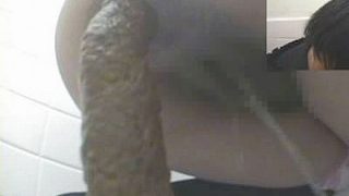 家庭内隠撮 家族のうんこ ２ 覗かれた我が家の便所