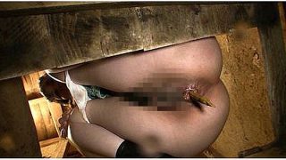 【再編集作品】どうしても出さなきゃダメですか」高級住宅地に住む箱入り娘のお嬢様が我慢し過ぎて便意喪失！力み過ぎた肛門から出るウンコはどんなウンコか？
